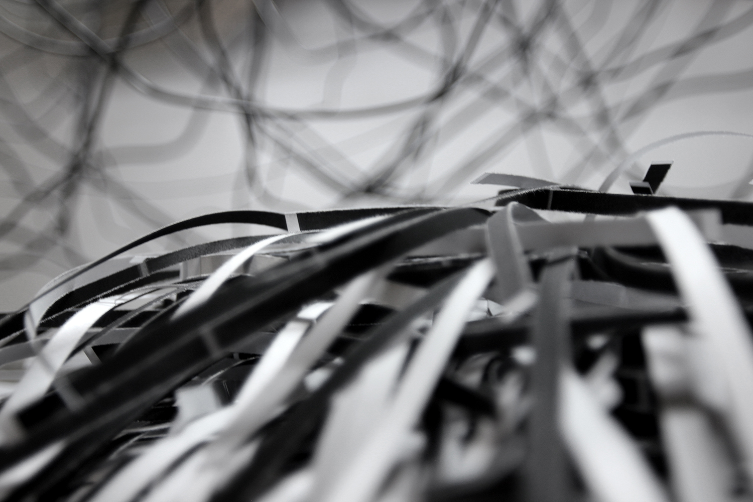 Marcelina Wellmer Artist Portfolio