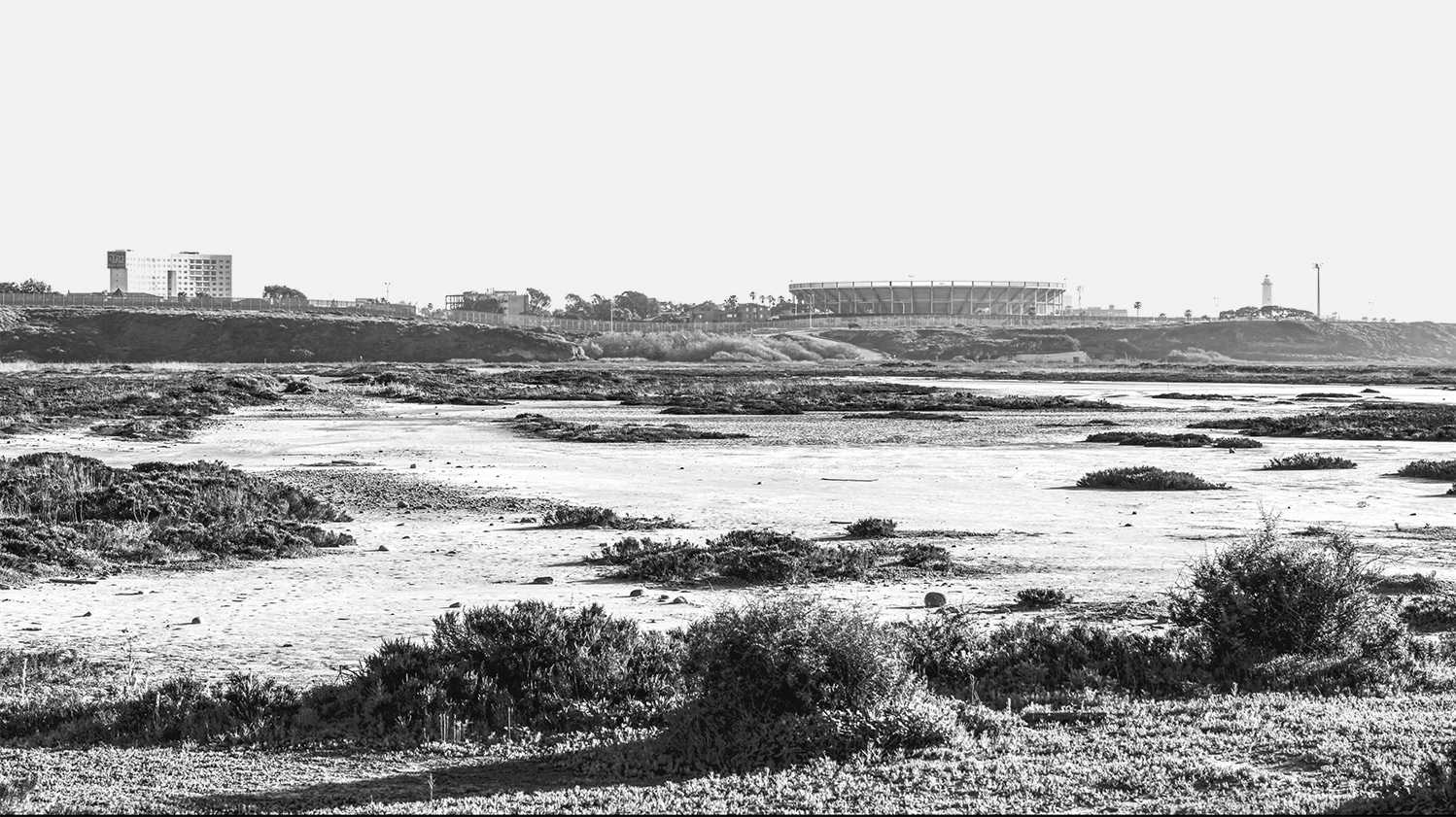 Marcelina Wellmer Artist Portfolio