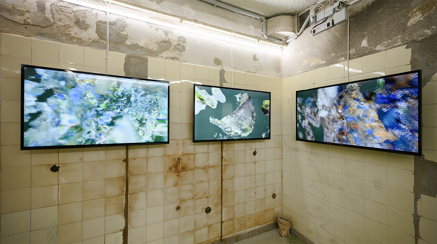 Marcelina Wellmer Artist Portfolio