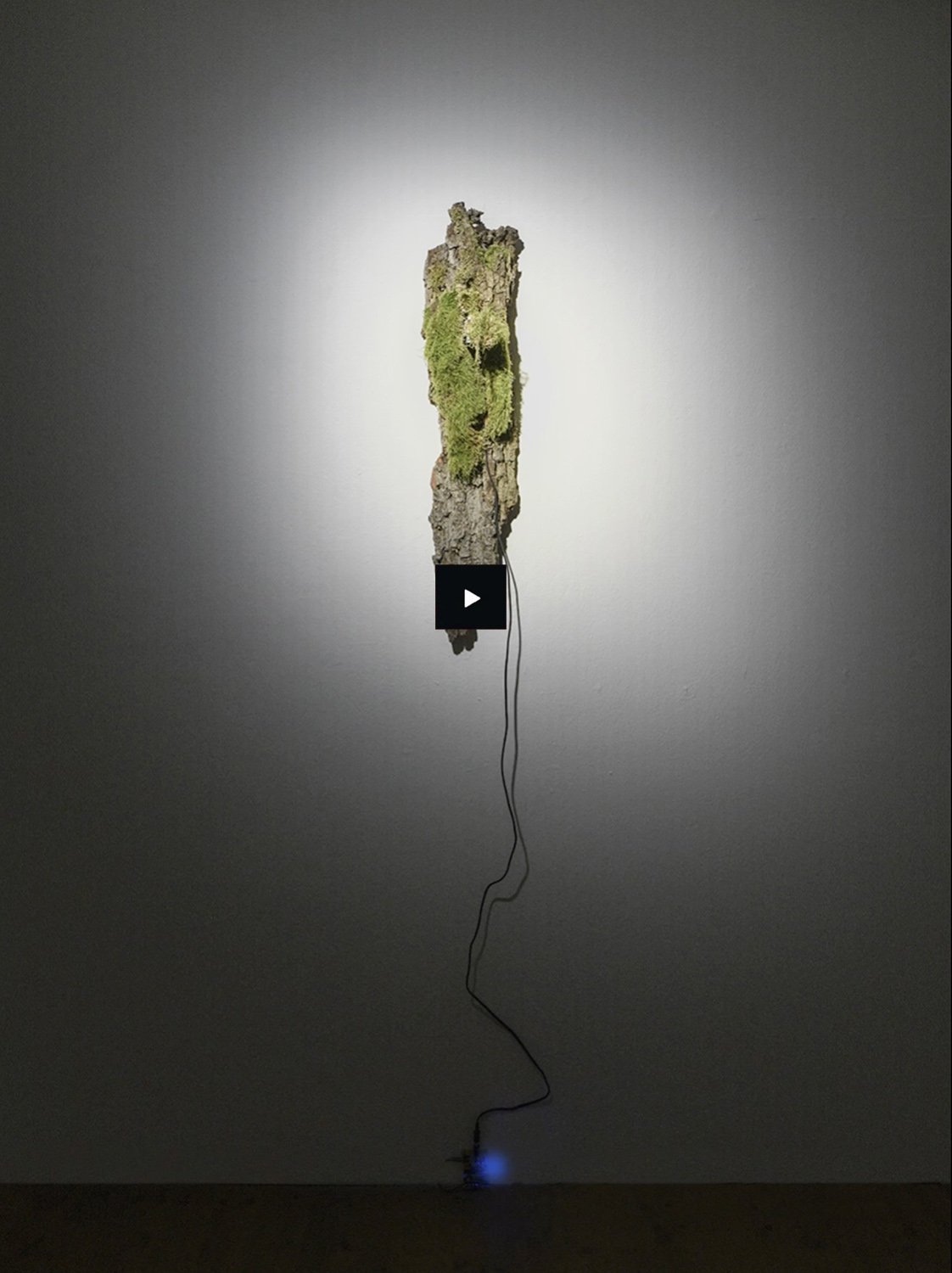 Marcelina Wellmer Artist Portfolio